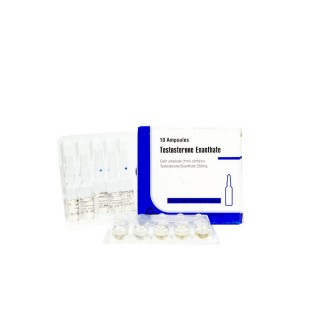 Testosterone Enantate 250 mg Aburaihan